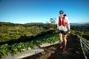 BIB: 
                            <button type="button" onclick="openModal(19109415)" class="btn btn-primary btn-sm float-right btn-popup" data-toggle="modal" data-target=".modal-high-quality">
                        <i class="fas fa-shopping-cart"></i> Add to Cart
                    </button>
                                            <button type="button" onclick="isThisMe(19109415, true)" class="btn btn-success btn-sm float-right btn-popup btn-isme hidden" data-toggle="tooltip" data-placement="bottom" title="นี่คือรูปของคุณใช่ไหม คลิกที่นี่เพื่อเอาเข้าอัลบั้ม">
                        <i class="fas fa-plus"></i> Add to album
                    </button>
                    <button type="button" onclick="isThisMe(19109415, false)" class="btn btn-warning btn-sm float-right btn-popup btn-isnotme hidden">
                        <i class="fas fa-ban"></i> Remove from album
                    </button>